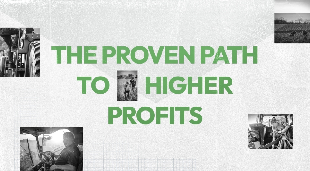The Proven Path to Higher Profits